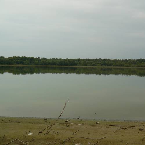 Gallery image 36