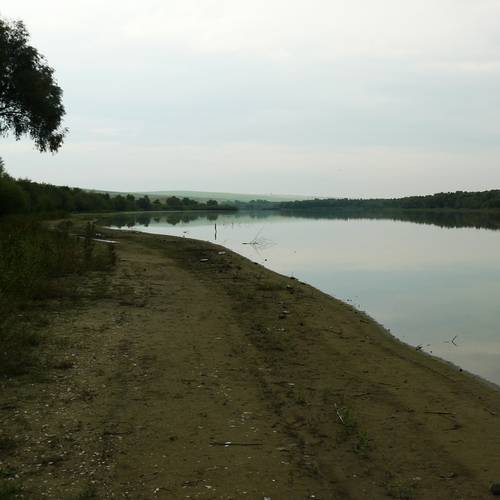 Gallery image 37