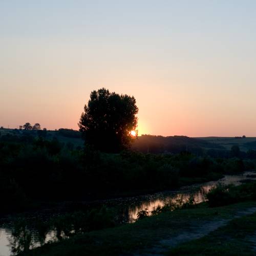 Gallery image 25