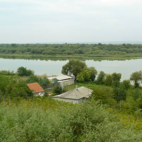Gallery image 38